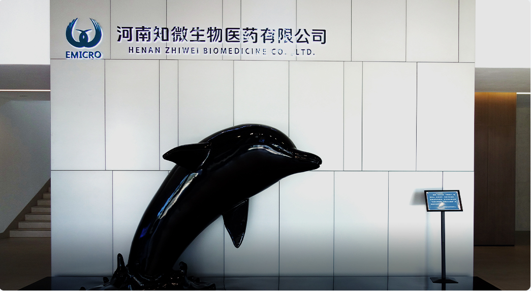 Company mascot - Dolphin
